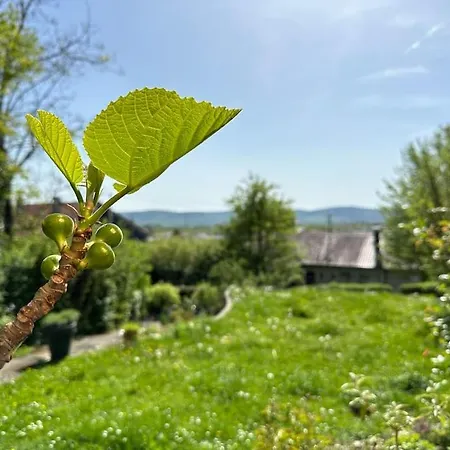 Appartamento Exquisites + Terrasse *